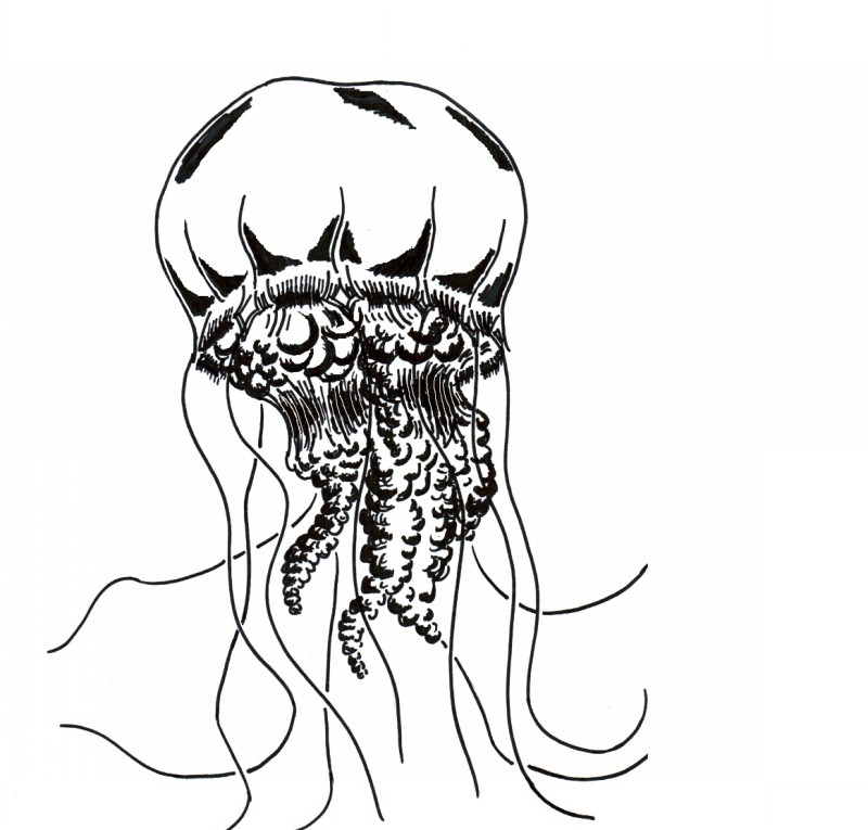 Gorgeous black-and-white jellyfish tattoo design
