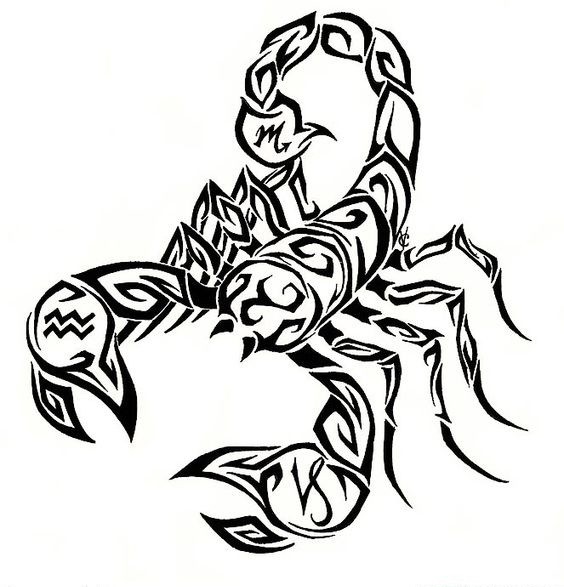 Gorgeous tribal scorpion with zodiac signs on pincers tattoo design
