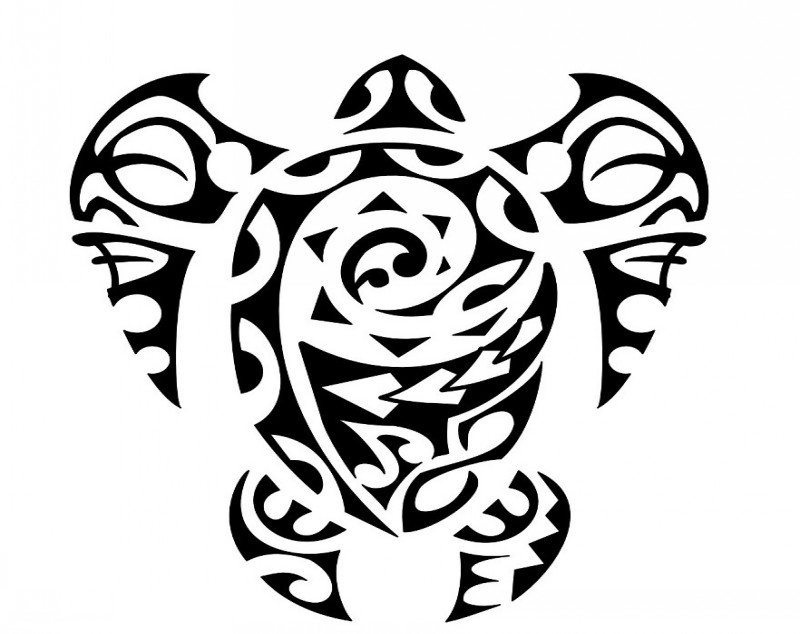 Gorgeous tribal turtle tattoo design