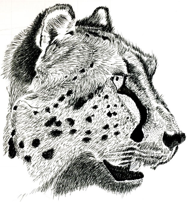 Great black-and-white cheetah head in profile tattoo design