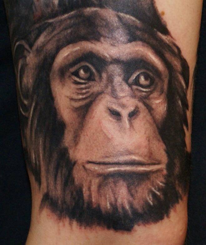 grande nero e bianco testa scimpanze` tatuaggio