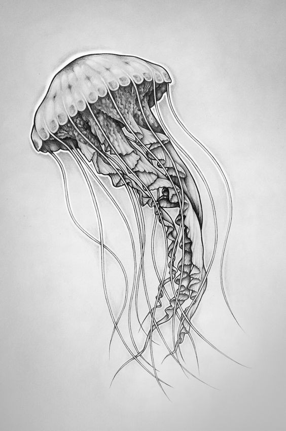 Great black-and-white jellyfish tattoo design