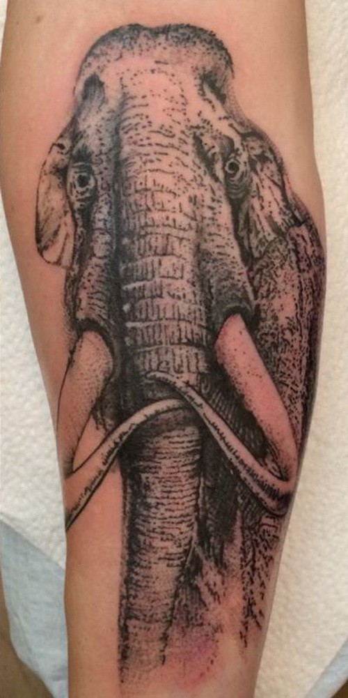 Tatuaje en el brazo, mamut alto hermoso, tinta gris