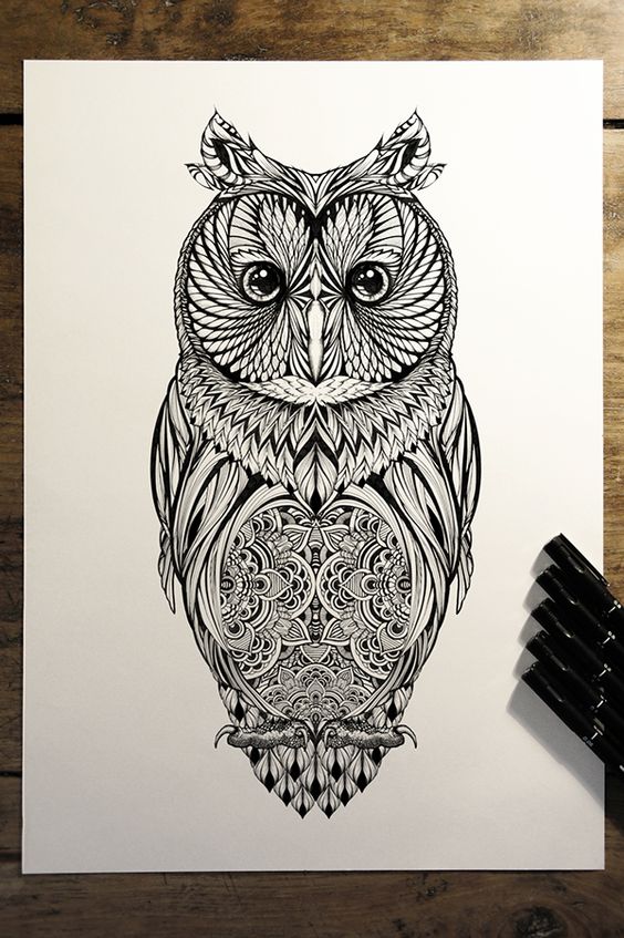 Great black-line owl with floral stomach tattoo design