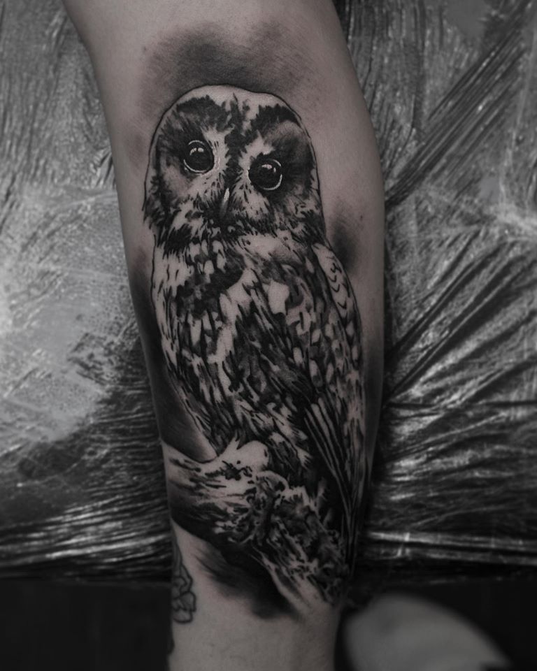 Great black and white owl tattoo on forearm