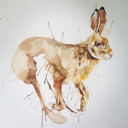 Great brown watercolor jumping hare tattoo design