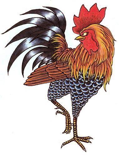 Great colored rooster tattoo design