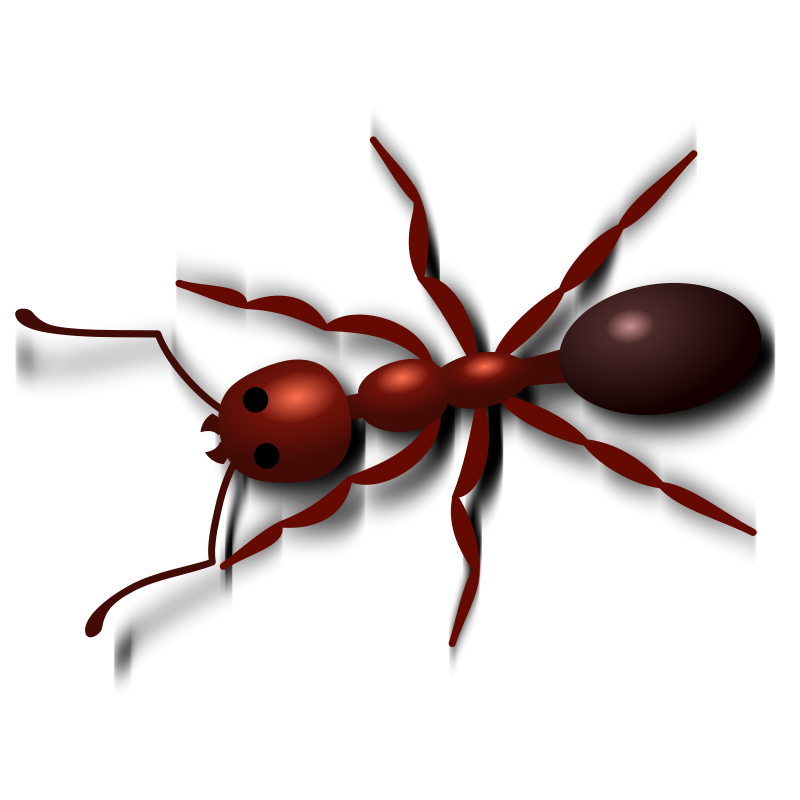 Great dark red crawling ant tattoo design