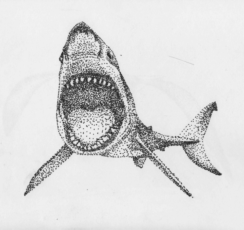 Great dotwork shark tattoo design by Kilariot