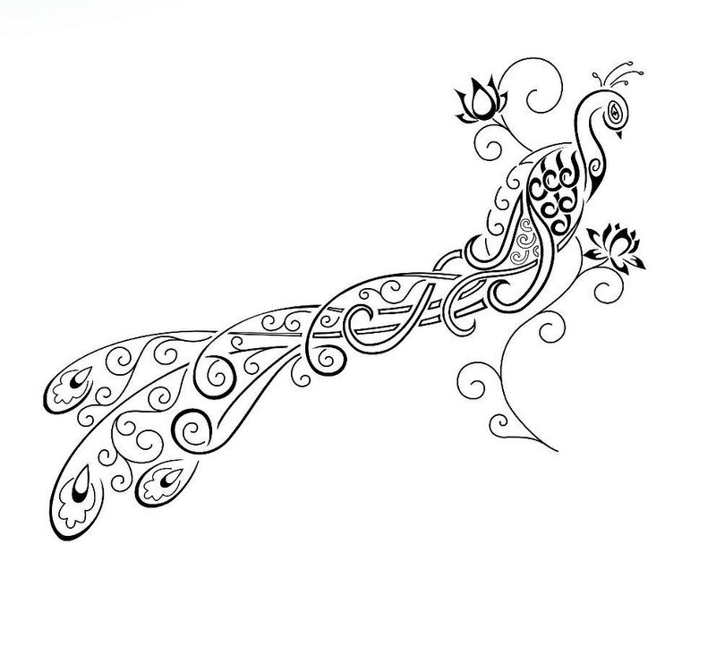Great outline peacock with floral elements tattoo design