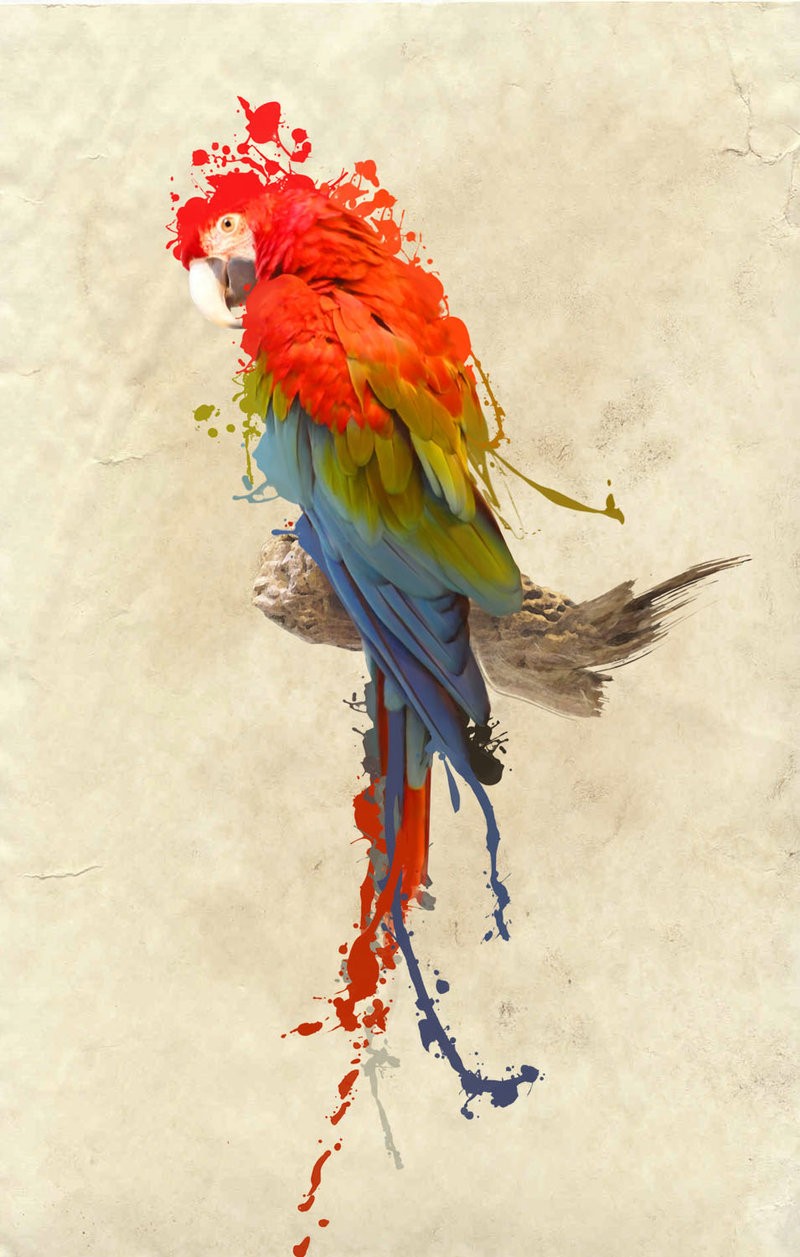 Great realistic parrot with waterolot effect tattoo design by Armonah
