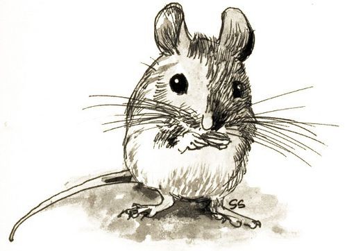 Great small pencil-drawn mouse tattoo design