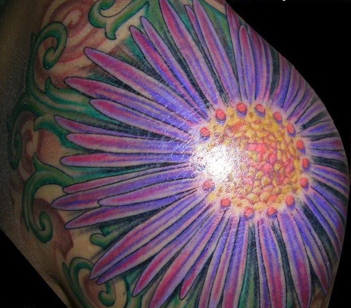 Great violet aster flower tattoo on shoulder
