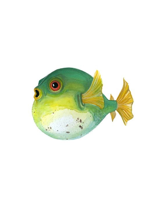 Green ball-shaped fish with white belly tattoo design