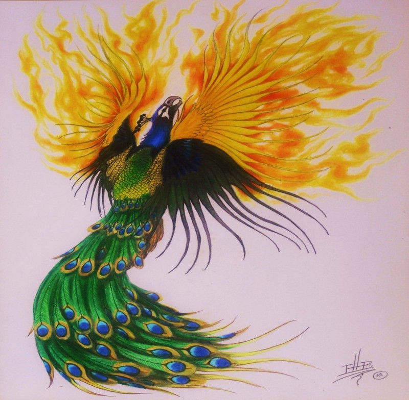 Green peacock with flaming orange phoenix wings tattoo design by Erik Brush