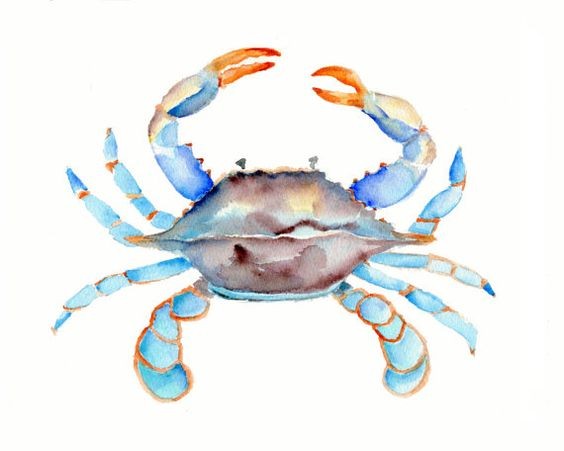 Grey-and-blue watercolor crab with orange-shine claws tattoo design