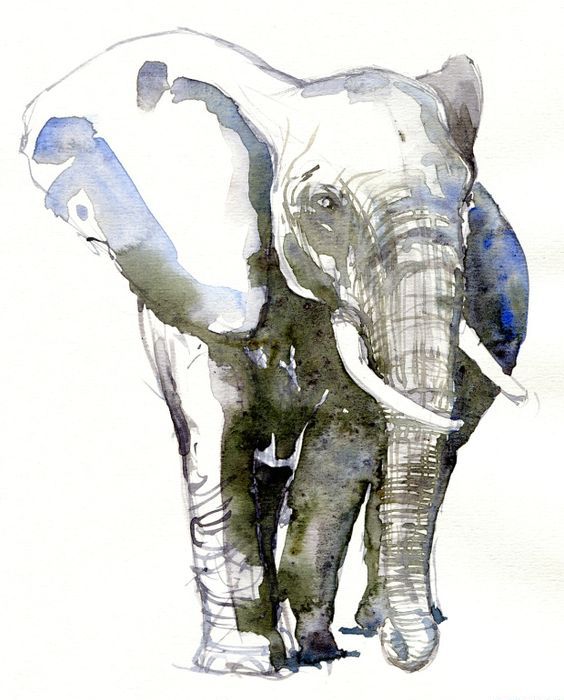 Grey-and-blue watercolor elephant tattoo design