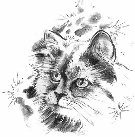 Grey-color cat on star background tattoo design