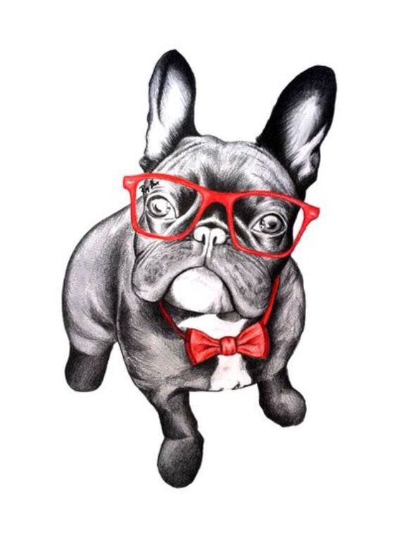 Grey-ink bulldog with red bow and glasses tattoo design