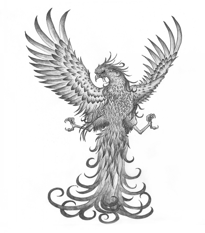 Grey-ink phoenix with spread legs tattoo design by Tribal Chick101