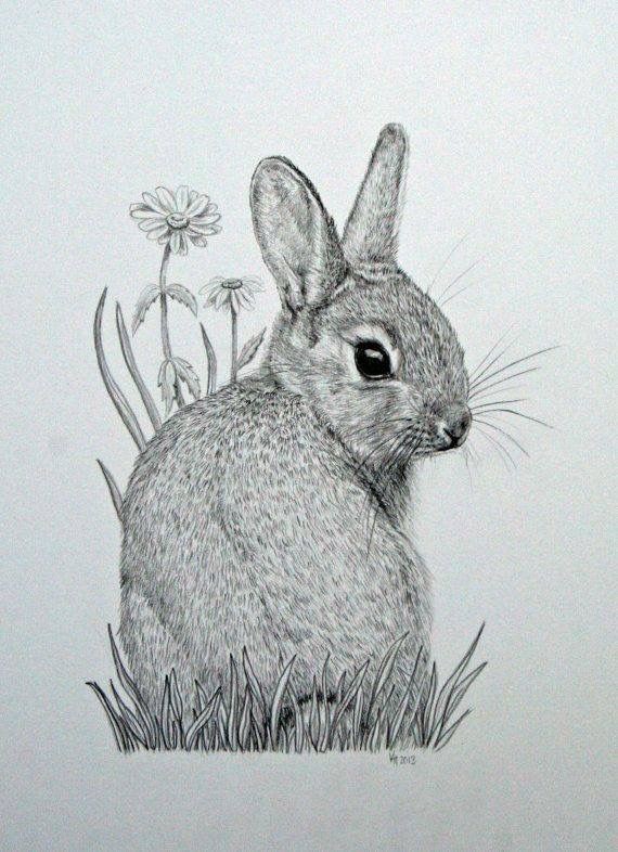 Grey-ink rabbit from back and tiny camomiles tattoo design