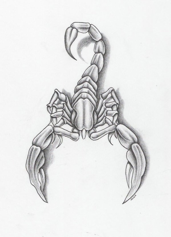 Grey-ink scorpion with shadow tattoo design by Mark Fellows