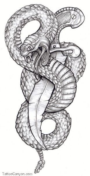 Grey fluffu-scaled snake twining around dagger tattoo design