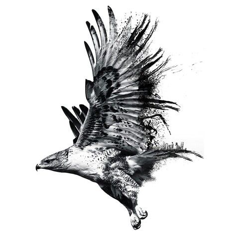 Grey flying eagle with black splashed wings tattoo design