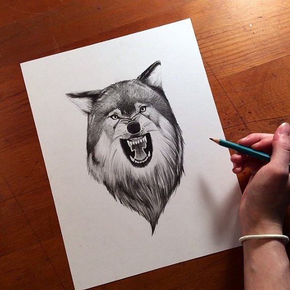 Grey gnarling wolf portrait tattoo design