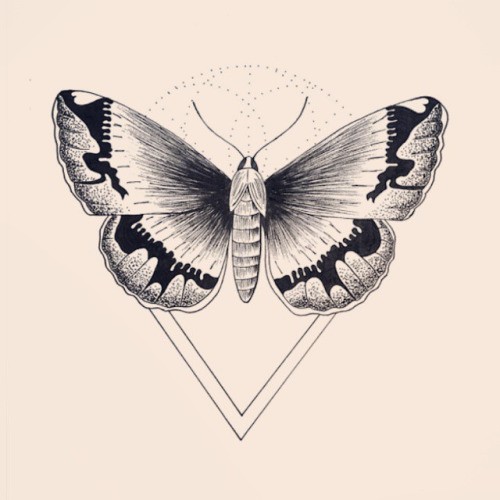 Grey moth with wavy black lines on wings tattoo design