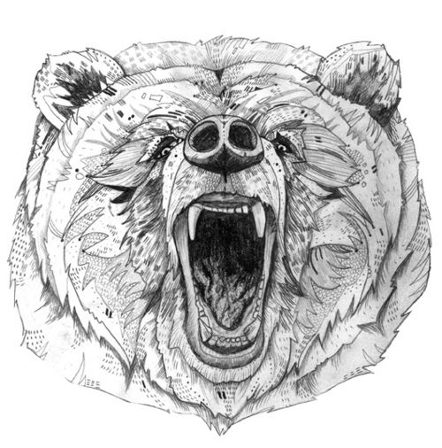 Grey roaring bear muzzle tattoo design