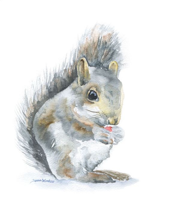 Grey watercolor squirrel with red berry in hands tattoo design