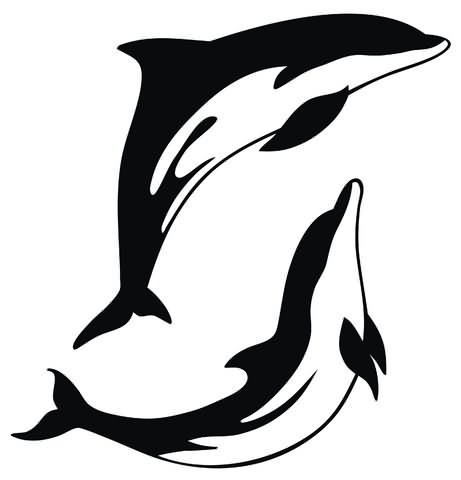 Happy cheerful black-and-white dolphin couple tattoo design