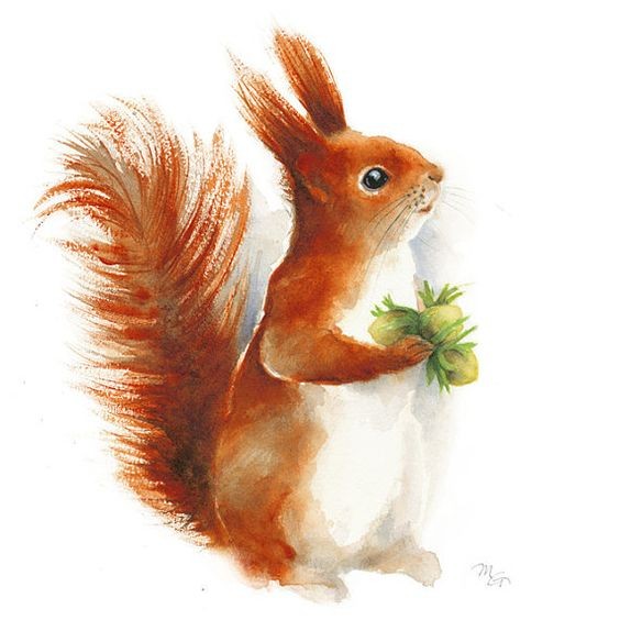 Happy ginger squirrel keeping green acorns tattoo design