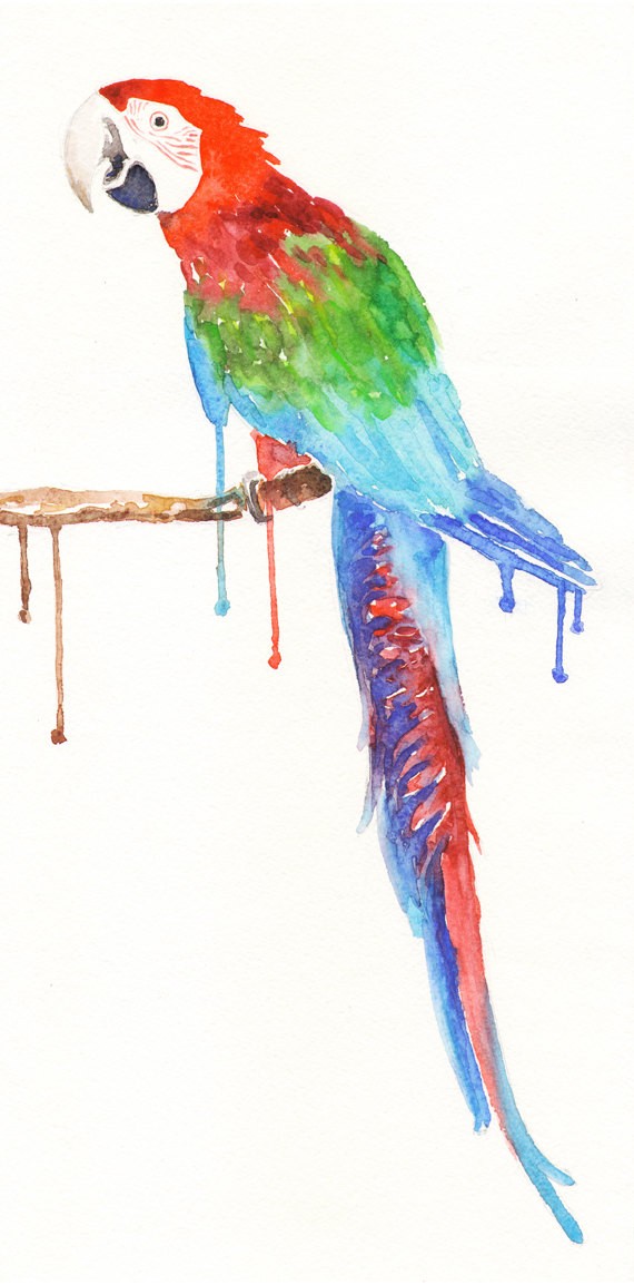 Happy multicolor parrot sitting on leafless branch tattoo design