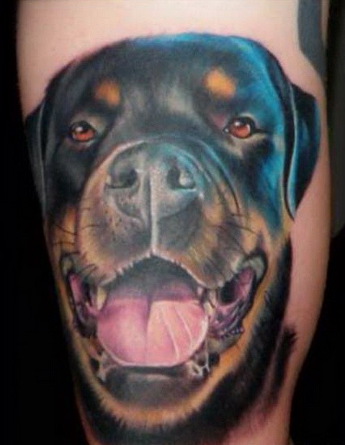 felice realistico cane testa rottweiler tatuaggio su braccio