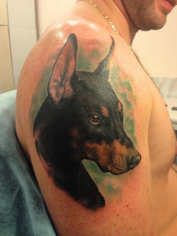 Harsh colorful doberman on green background tattoo on upper arm