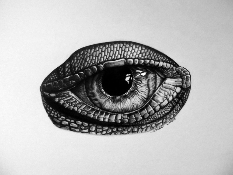 Heavy grey-ink reptile eyesight tattoo design by Lethal Chris