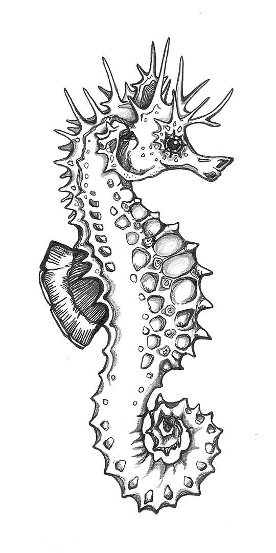 Horned black-and-white seahorse tattoo design