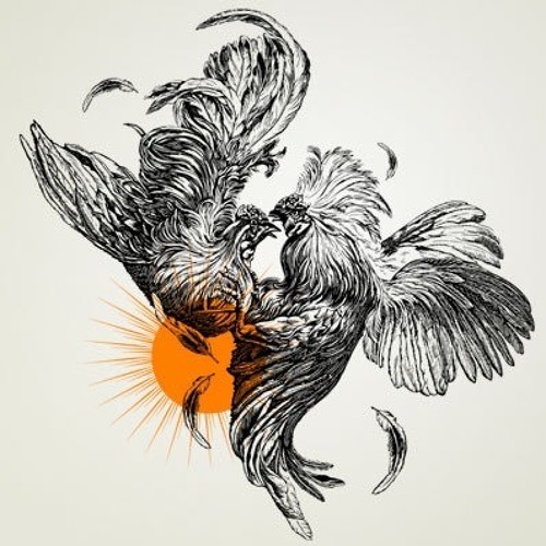 Hot rooster fitht on orange sun background tattoo design