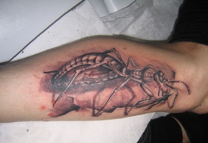 Tatuaje  de hormiga grande tremenda