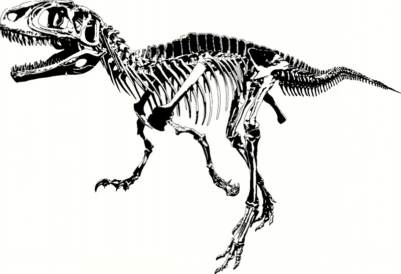 Huge black-ink dinosaur skeleton tattoo design