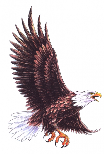 Huge brown-and-white flying eagle tattoo design