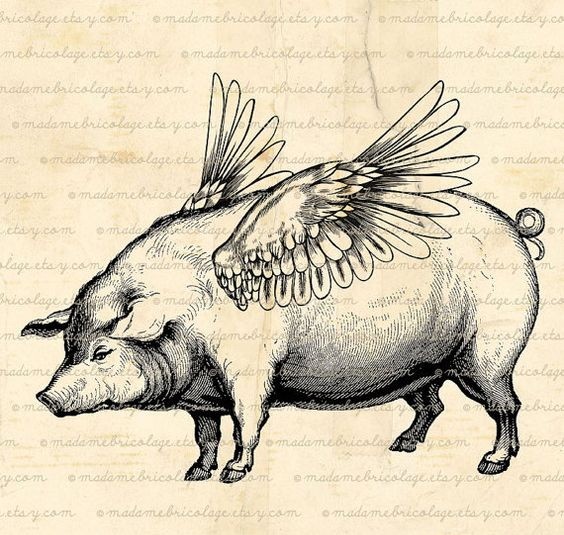 Huge fat black-ink pig with little wings tattoo design