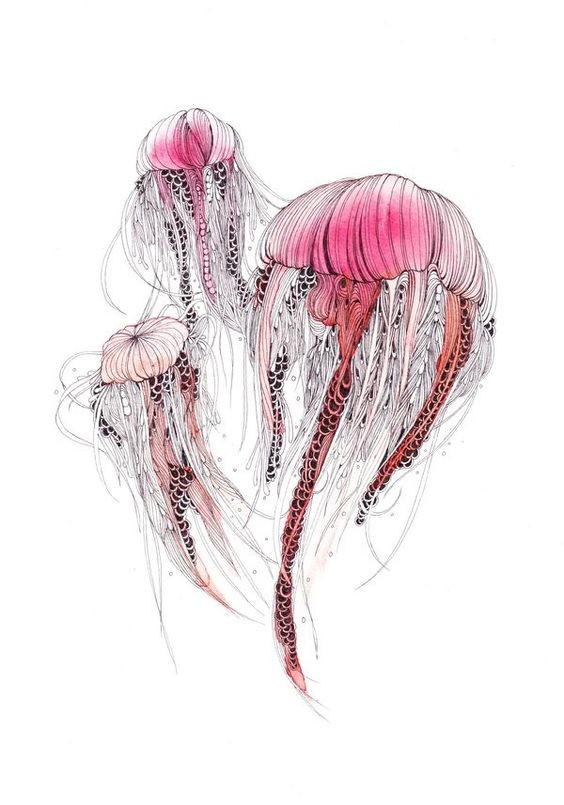 Huge grey-contour jellyfish trio with pink shadows tattoo design
