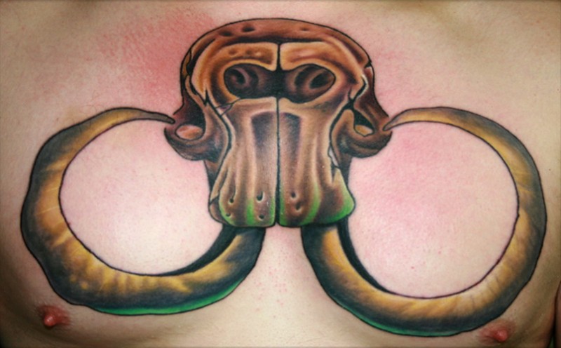Tatuaje en el pecho, 
cráneo viejo de mamut