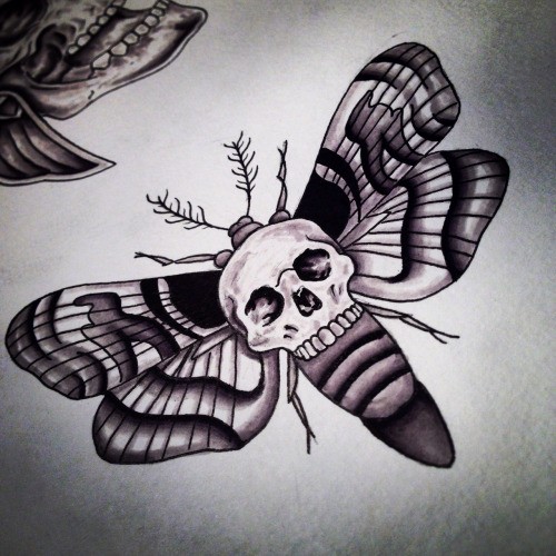 Huge skull-printed moth tattoo design
