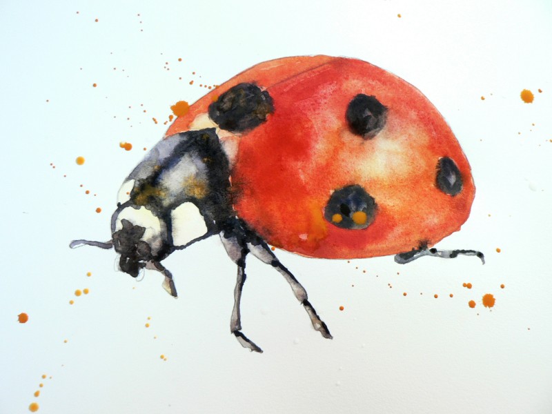 Huge watercolor ladybug tattoo design