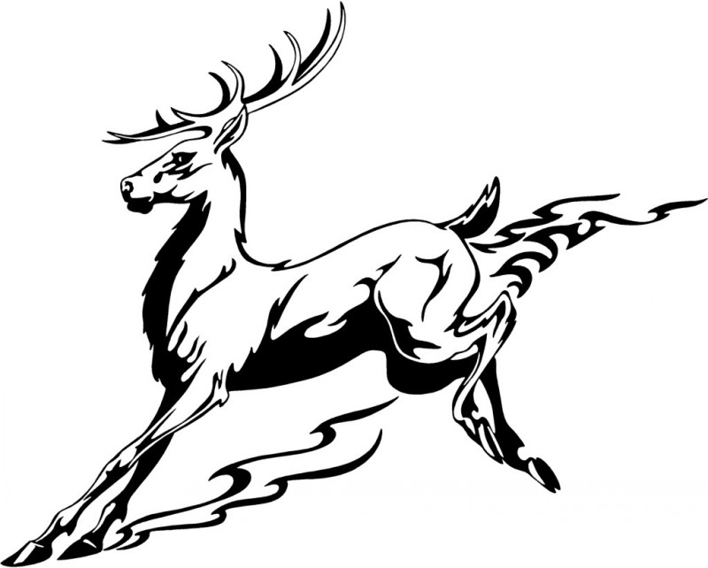 Hurried tribal deer tattoo design