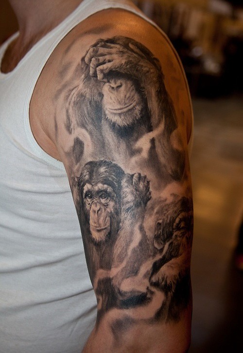 impressionante nero e bianco famiglia scimpanze` tatuaggio su spalla di uomo